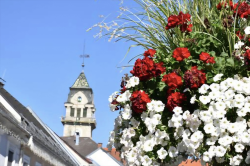 Rückblick auf die Gemeinderatssitzung in Leibnitz <br />
vom 26.03.2026